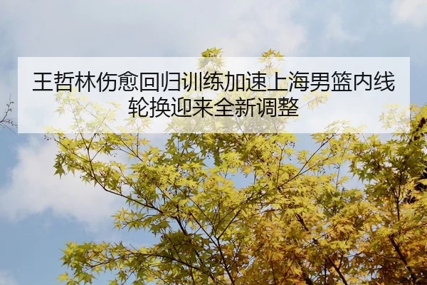 王哲林伤愈回归训练加速上海男篮内线轮换迎来全新调整